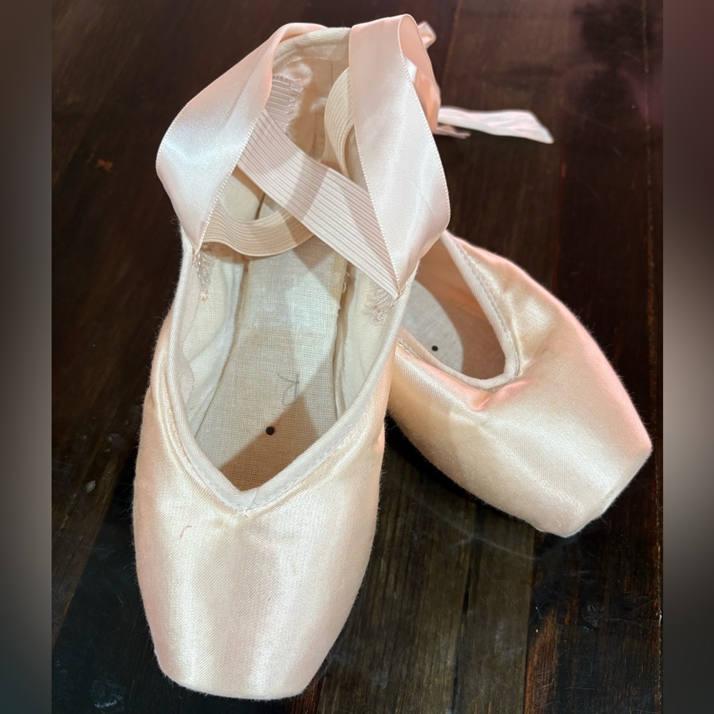Grishko Dead 🧟‍♀️ Ballet Pointe Shoes 🩰 for crafts